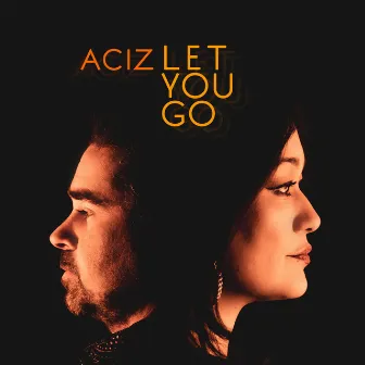 Let You Go by Aciz