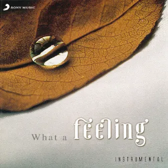 What A Feeling (Instrumental) by Merlyn D'Souza