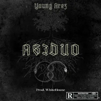 Asiduo by Young Arez