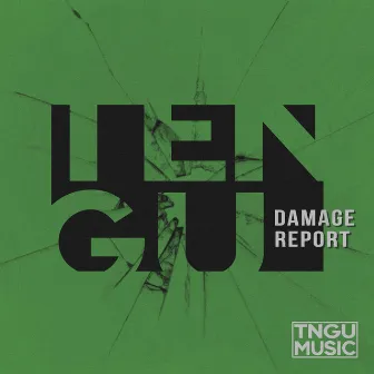 Damage Report by Tengu