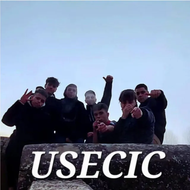 Usecic