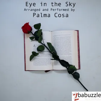 Eye in the Sky by Palma Cosa