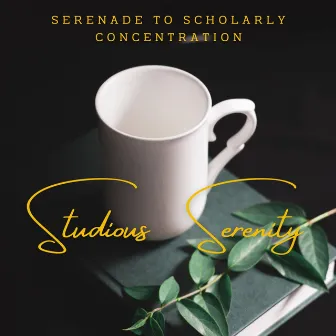 Studious Serenity: Piano Soundscapes for Focused Learning by Focus Chamber