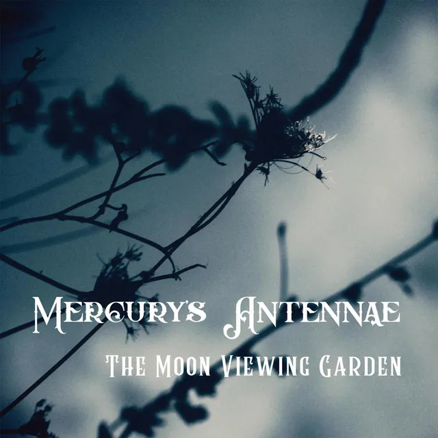 The Moon Viewing Garden (Moon Halo Mix)