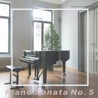 Piano Sonata No. 5 by Luca Freytag