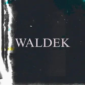 Waldek by młody odd