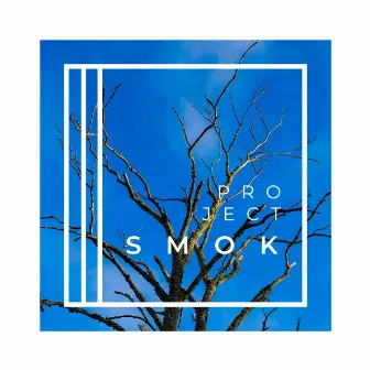 Wee Smoky by Project Smok