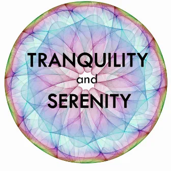 Soundscapes Relaxation Music - Tranquility and Serenity by Unknown Artist