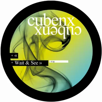 Wait & See by Cubenx