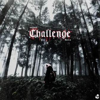 Challenge by Solc