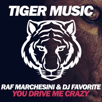 You Drive Me Crazy by Raf Marchesini