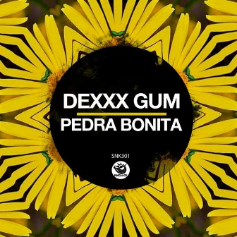 Pedra Bonita by Dexxx Gum