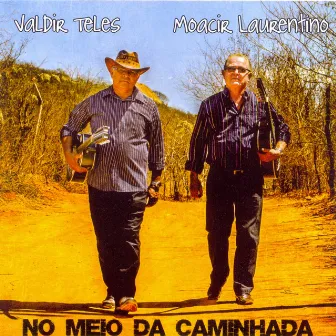 No Meio da Caminhada by Moacir Laurentino