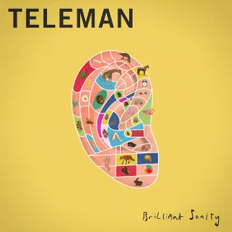 Brilliant Sanity by Teleman