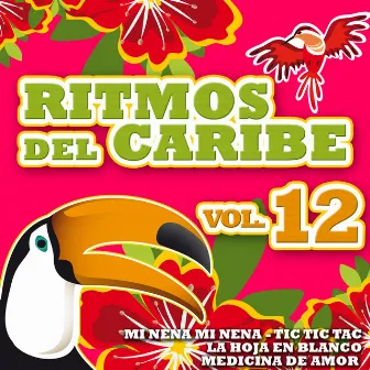 Ritmos del Caribe Vol.12 by La Banda Del Caribe