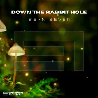 Down The Rabbit Hole by Sean Sever