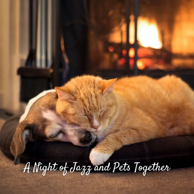 A Night of Jazz and Pets Together