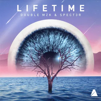 Lifetime by SPECT3R