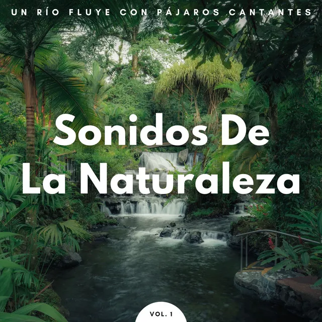 Sonidos De La Naturaleza: Un Río Fluye Con Pájaros Cantantes Vol. 1