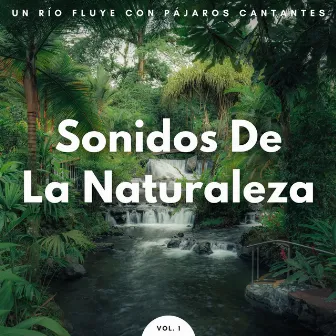 Sonidos De La Naturaleza: Un Río Fluye Con Pájaros Cantantes Vol. 1 by Sonidos de aguas tranquilas