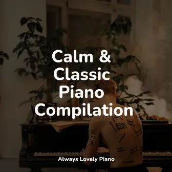 Ambient Sounds | Focused Study by Piano Pianissimo