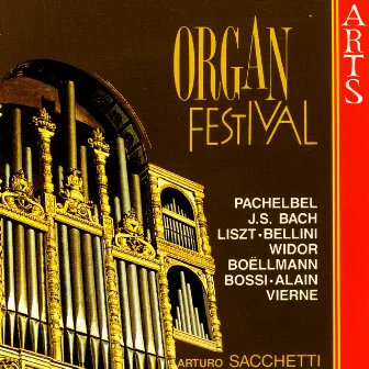 Organ Festival by Arturo Sacchetti