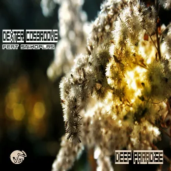 Deep Paradise by Dexter Cosgroove