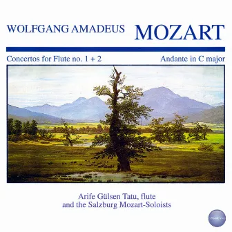 Mozart: Concertos for Flute No. 1 + 2, Andante in C Major by Arife Gülsen Tatu