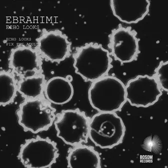 Echo Looks EP by Ebrahimi