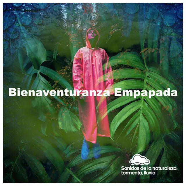 Bienaventuranza Empapada