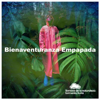 Bienaventuranza Empapada by Sonidos de la naturaleza: tormenta, lluvia