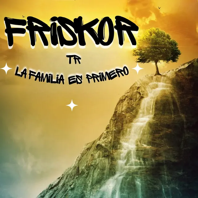 Frizkor TR