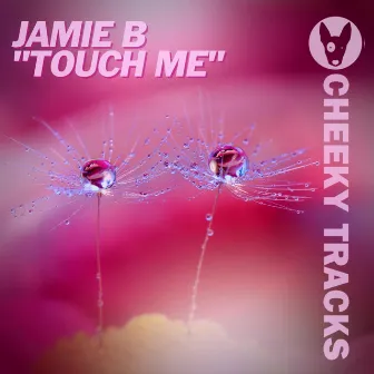 Touch Me by Jamie B