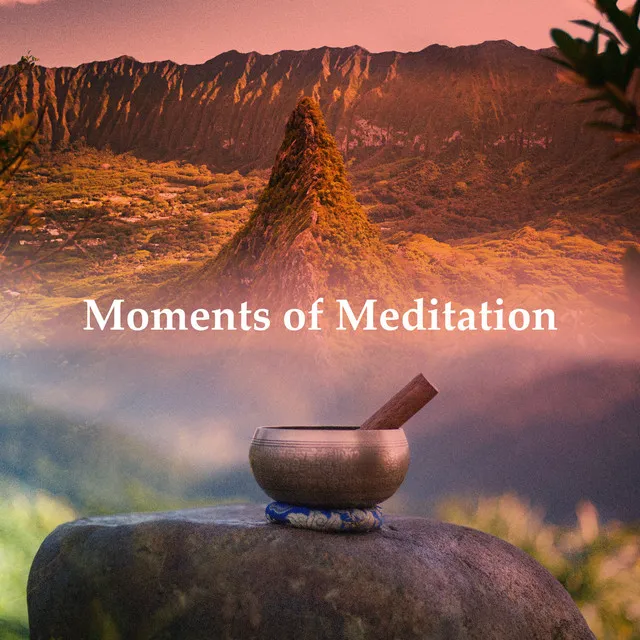 Moments of Meditation