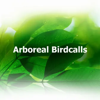 Arboreal Birdcalls by Natural Sound Selections