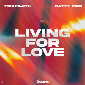 Living For Love by Natty Rico