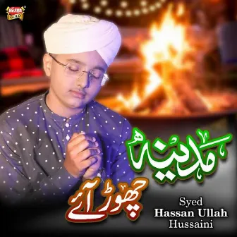 Madina Chor Aaye Hain by Syed Hassan Ullah Hussaini