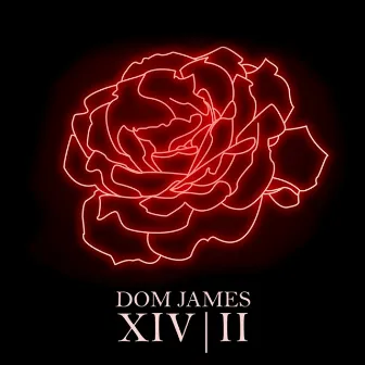 XIV|II by Dom James