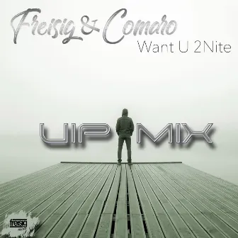 Want U 2Nite (VIP Mix) by Freisig