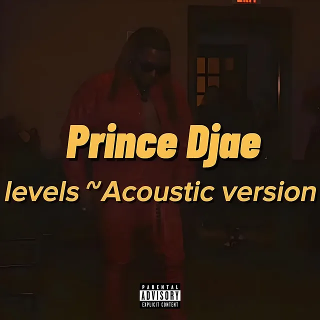 Levels (Acoustic Version)