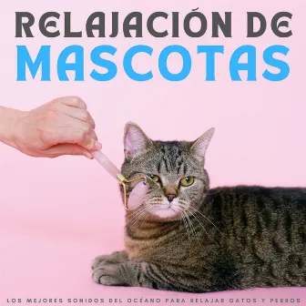 Relajación De Mascotas: Los Mejores Sonidos Del Océano Para Relajar Gatos Y Perros by Academia del sueño canino