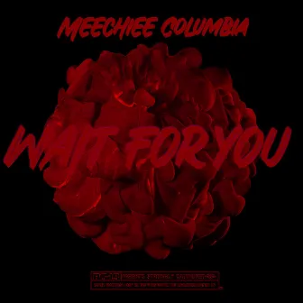 Wait for you (Radio Edit) by Meechiee Columbia