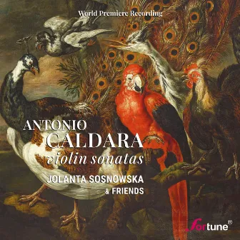 Antonio Caldara Violin Sonatas by Jolanta Sosnowska