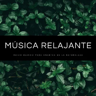 Música Relajante: Ruido Blanco Para Amantes De La Naturaleza by Ruido Blanco Para Meditación Profunda