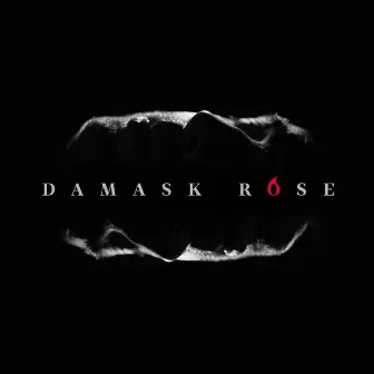 Your Home, Your Hopes, Your History by Damask Rose