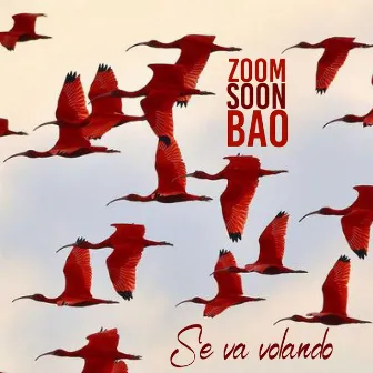 Se va volando by Zoom Soon Bao