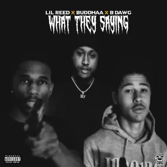 What They Saying by Lil Reed