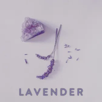 LAVENDER by jløfi