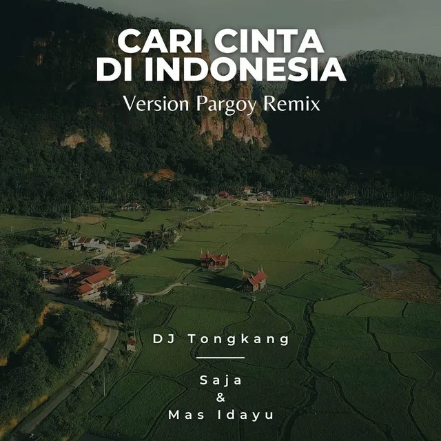 Cari Cinta Di Indonesia - Pargoy Remix