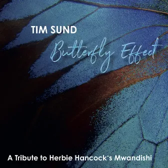 Butterfly Effect (A Tribute to Herbie Hancock's Mwandishi) by Tim Sund